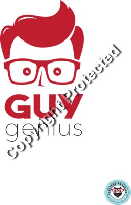 GUY GENIUS  TRG 2019 TEE 