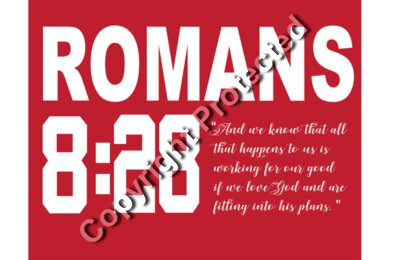 Romans 8 and 28  red 2019 