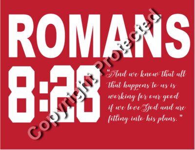 Romans 8 and 28  red 2019 